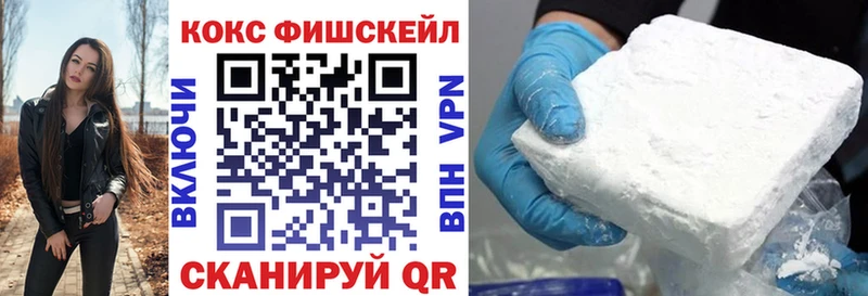 купить  цена  Александровск-Сахалинский  COCAIN Fish Scale 