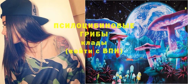ПСИЛОЦИБИНОВЫЕ ГРИБЫ Архангельск