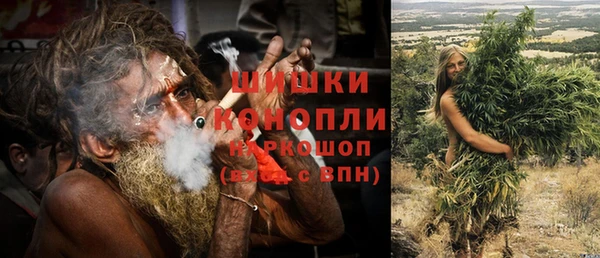 ПСИЛОЦИБИНОВЫЕ ГРИБЫ Архангельск