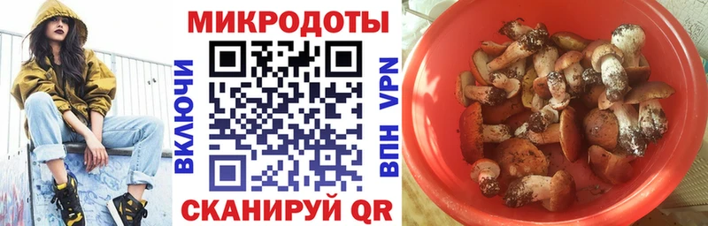 наркотики  Александровск-Сахалинский  Галлюциногенные грибы MAGIC MUSHROOMS 