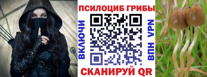 Галлюциногенные грибы прущие грибы Александровск-Сахалинский